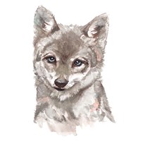 Baby Wolf Fine Art Print