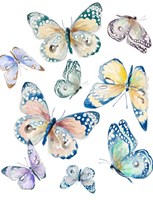 Colorful Isolated Butterflies Fine Art Print