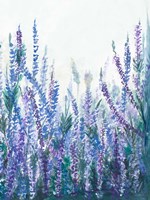 Lavender Garden II Fine Art Print