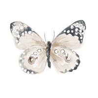 Steady Wings I Framed Print