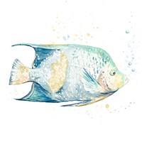 Pescado Azul Square Fine Art Print