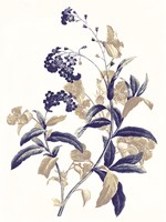 Indigo Flowers Two Fine Art Print