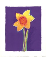 Daffodil Fine Art Print
