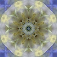 Colorful Kaleidoscope 3 Fine Art Print