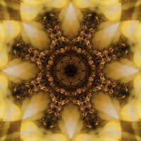 Colorful Kaleidoscope 4 Fine Art Print