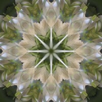 Colorful Kaleidoscope 5 Fine Art Print