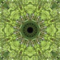 Colorful Kaleidoscope 11 Fine Art Print