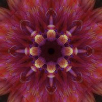 Colorful Kaleidoscope 14 Fine Art Print