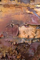 Graffiti and Rust on Old Train Cars Fine Art Print
