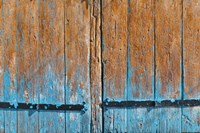 Painted Wooden Door Fine Art Print