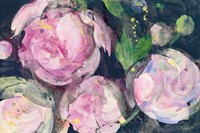 Evening Peonies II Fine Art Print