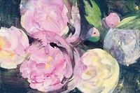 Evening Peonies I Fine Art Print