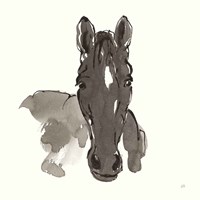 Horse Portrait IV Framed Print