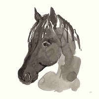 Horse Portrait II Framed Print