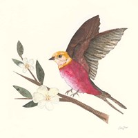 Birds and Blossoms IV Fine Art Print