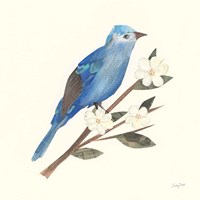 Birds and Blossoms III Fine Art Print