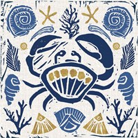 Primitive Sea VII Framed Print