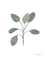 Fresh and Green VII Dark Fine Art Print