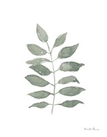 Fresh and Green IV Dark Fine Art Print