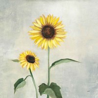 Sunny Blooms I Fine Art Print
