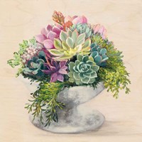 Festive Succulents II Fine Art Print