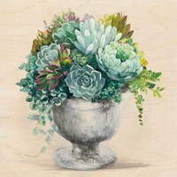 Festive Succulents I Fine Art Print