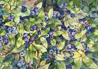 Blueberries Fine Art Print