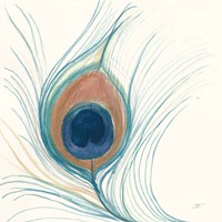 Peacock Feather II Blue Fine Art Print