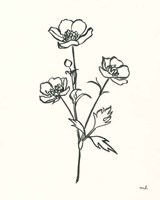 Buttercup Fine Art Print