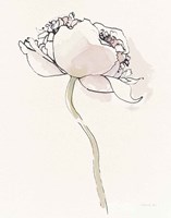 Single Somniferums I Neutral Crop Fine Art Print