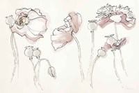 Somniferums Neutral Crop Fine Art Print