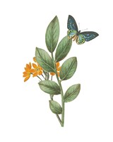 Greenery Butterflies I Framed Print