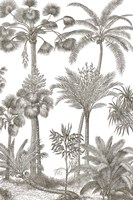 Palm Oasis II Fine Art Print