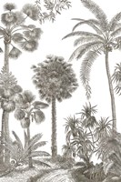 Palm Oasis I Framed Print