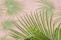 Areca Palm In Front Of Painter Palm Mural Fine Art Print