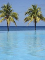 Infinity Pool Surrounded By Palm Trees Fine Art Print