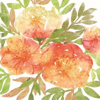 Peachy Floral III Fine Art Print