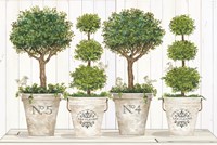 Topiary Still Life Fine Art Print