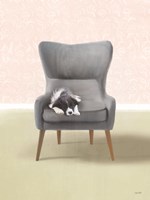 Nap Time Collie Pup Fine Art Print