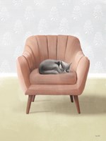 Nap Time Gray Cat Framed Print