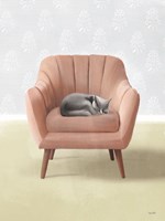 Nap Time Gray Cat Fine Art Print