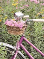 Pink Garden Bike Fine Art Print