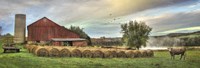 Hay Harvest Fine Art Print