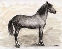 Horse Study 1 Framed Print