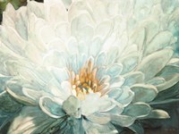 Morning Blossom Fine Art Print