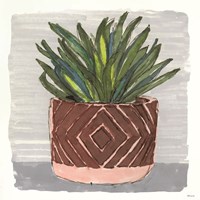 Potted Agave II Fine Art Print