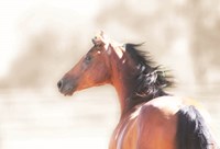 Berry Badass Fine Art Print