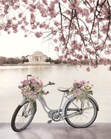 Enjoy Beauty Fine Art Print