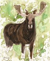 Pacific Coast Wildlife 3 Fine Art Print