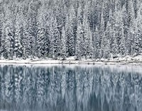 Winter Reflections Fine Art Print